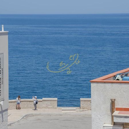 Villa Td Casa Marevino Seaside Terrace With Panoramic Views Polignano a Mare Exterior foto